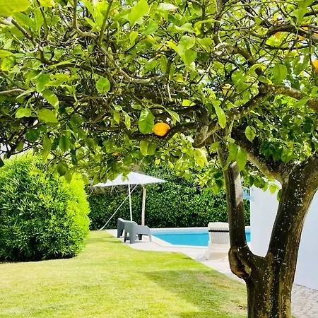 Вилла Strip - Private Pool - 12 Guests - Albufeira *